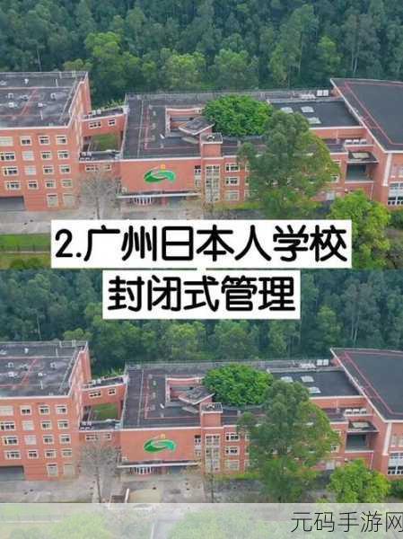 游戏开发-日本大一大二大三在一起读吗,1. 游戏开发的奇妙旅程:日本大学生的三年冒险