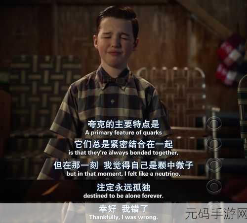 你看镜子里我们的结合,1. 镜中映射:我们结合的真实与幻想