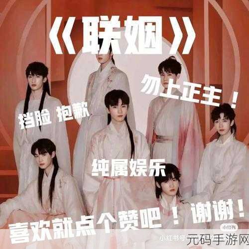 联姻对象11h,1. 联姻对象的深层次探索与未来发展