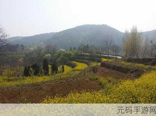 深度评测-桃源深处有人家萝眼金晴第一关怎么过,1. 突破初关:桃源深处的奇妙探险攻略