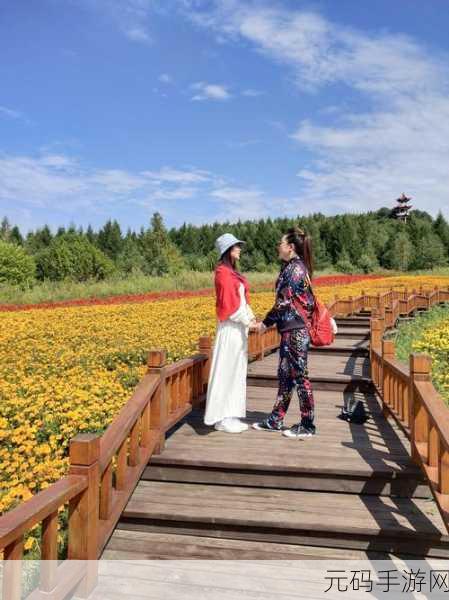 伊春园2023入口直达大象,1. 伊春园2023探秘:大象拓展之旅全攻略
