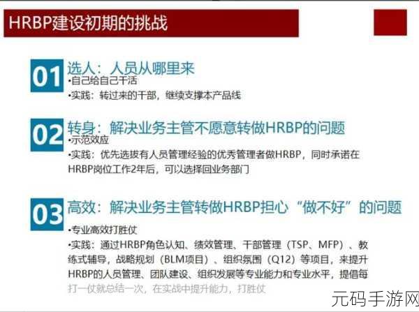 优质RB攻略系统!,1. 深入解析优质RB攻略系统的核心要素