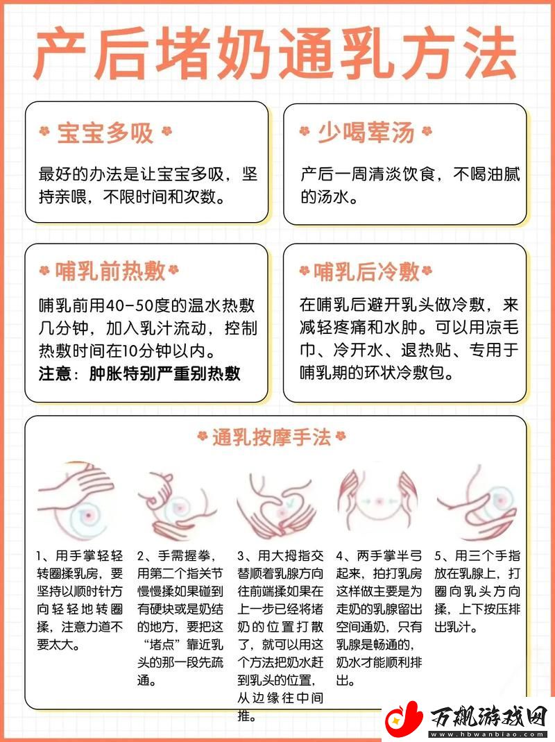 深入探讨产妇用通草催奶的禁忌及其影响
