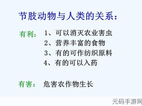 人与动物ppt免费模板,1. 人与动物的和谐共生关系探讨