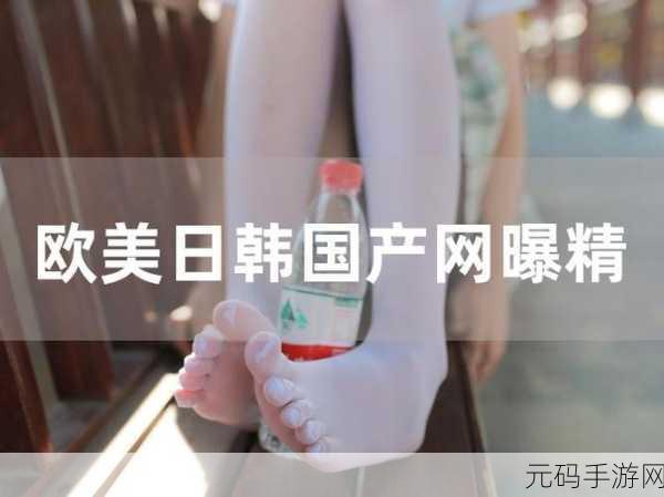 日韩产品和欧美产品的区别遭受劫难,日韩与欧美产品的独特性与市场挑战探讨