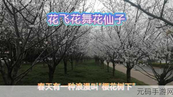 你从十岁插在樱花上面什么歌,根据“十岁插在樱花上面”这句话的意境,可以拓展出以下新的