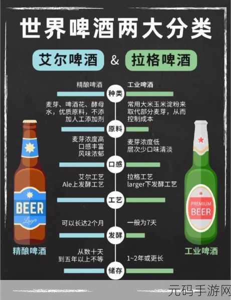 精二和精三的区别,精二与精三的相对优势与应用领域探讨