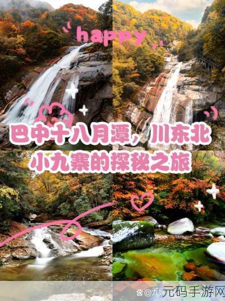 心之月花圃探秘,1. 探秘心之月花圃:寻觅生命的秘密