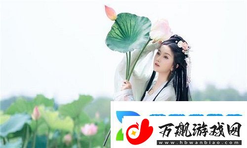 探索数字世界的无限可能