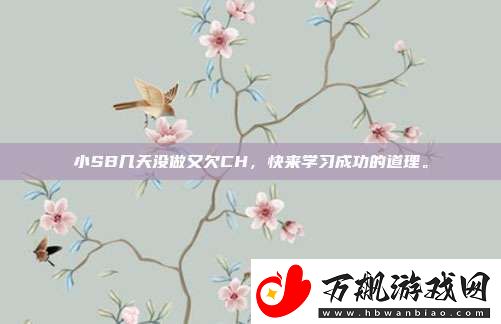 小SB几天没做又欠CH-快来学习成功的道理。