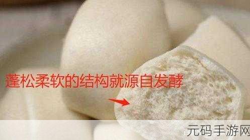 水滴型与馒头型区别解析,水滴型与馒头型的对比解析:形状、功能与应用探讨
