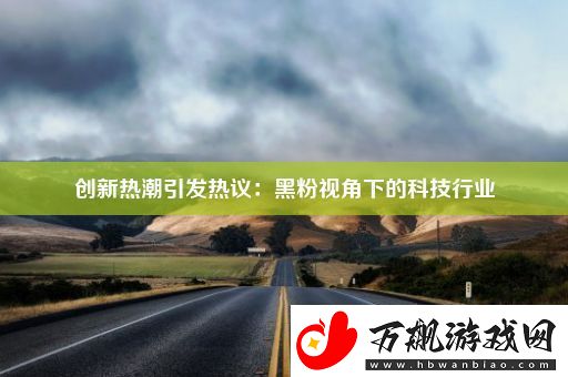 创新热潮引发热议：黑粉视角下的科技行业