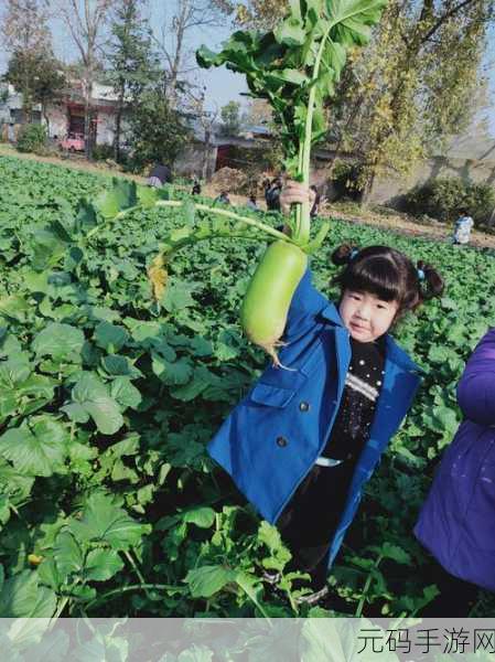 拔萝卜一边喘气一边说痛怎么办呢,1. 努力与坚持:拔萝卜的艰辛之路
