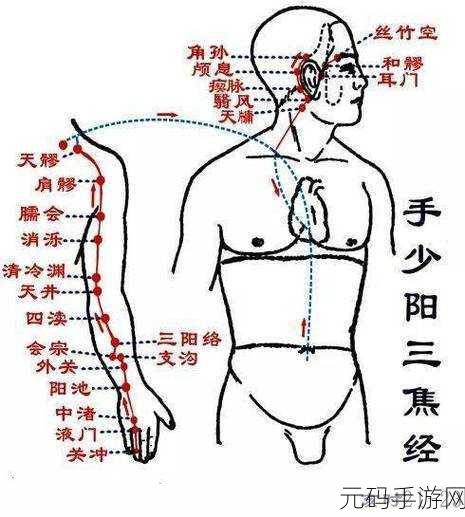 真北斗无双经络图攻略,解锁7级经络图的秘密