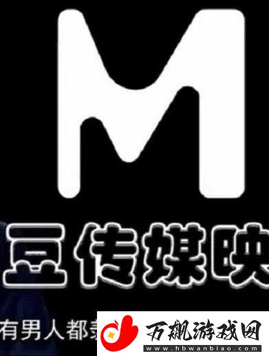 麻花传媒-CEO：带领团队创造辉煌