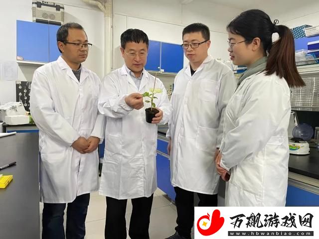 奇闻！人畜共舞CROPROATIO-新科研浪潮竟是这样掀起！