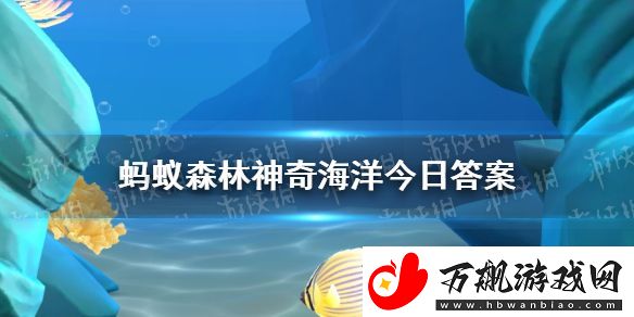 以下哪种海洋鱼类没有胃-神奇海洋11月3日答案