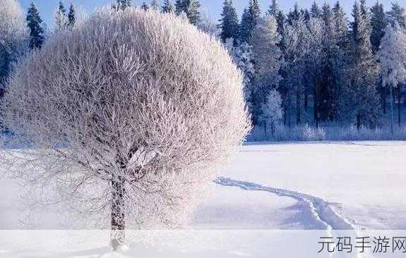 寒冬腊月,蚂蚁庄园携手手游新活动共庆仲冬,大雪小雪乐趣多