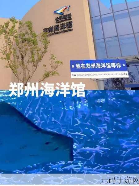 深海奇缘,探索鲸心奥秘,心跳挑战手游震撼上线!