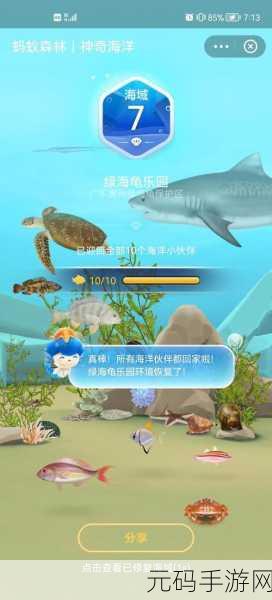 神奇海洋探索之旅,揭秘6.20支付宝问答,探寻世界最大海龟之谜