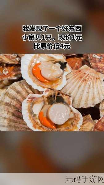 快让我吃一下你的小扇贝，快让我品尝你的小扇贝，感受海洋的鲜美