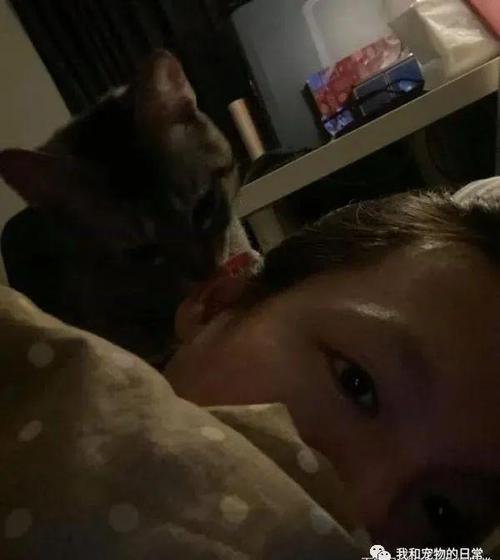 从“半夜装睡配合孩子阴阳调和”看家长的智慧